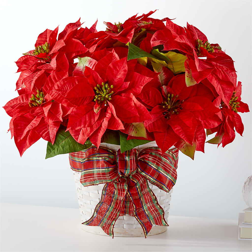 Happiest Holidays Poinsettia – Gibney-sims Flowers, Hannibal MO