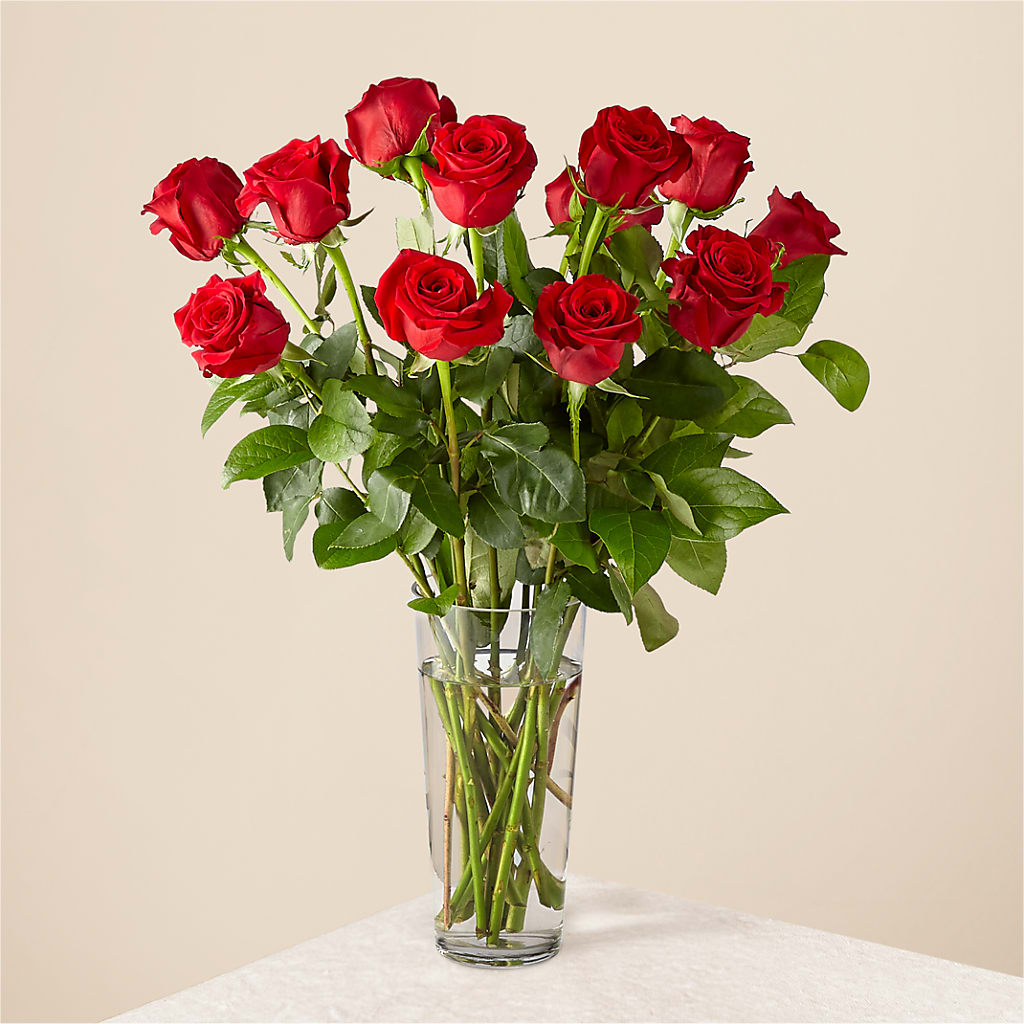 Long Stem Red Rose Bouquet – Gibney-sims Flowers, Hannibal MO