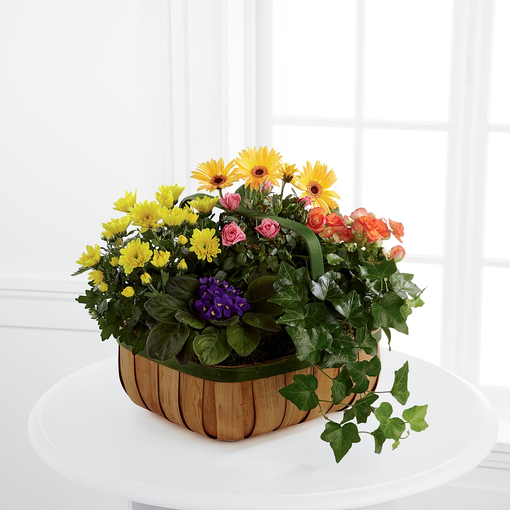 Gentle Blossoms Basket – Gibney-sims Flowers, Hannibal MO