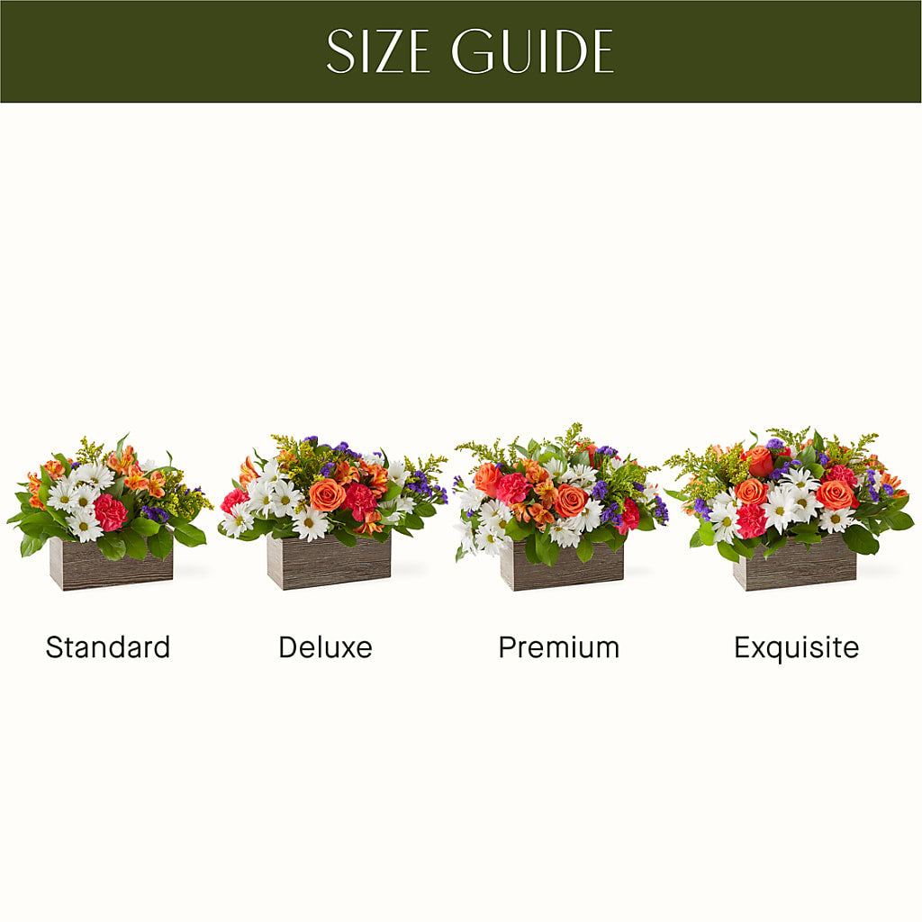 Oopsie Daisy Box Bouquet – Gibney-sims Flowers, Hannibal MO