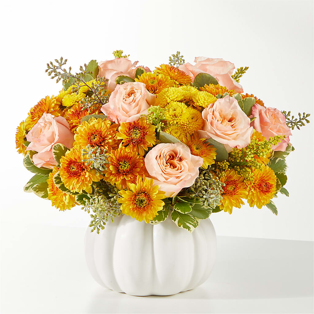 Peachy Pumpkin – Gibney-sims Flowers, Hannibal MO