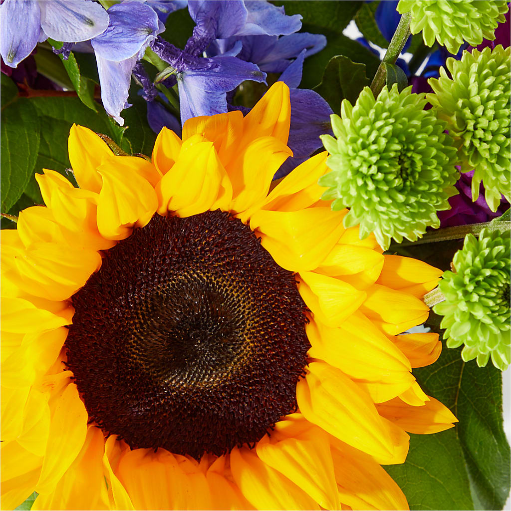 Catching Rays Bouquet – Gibney-sims Flowers, Hannibal MO