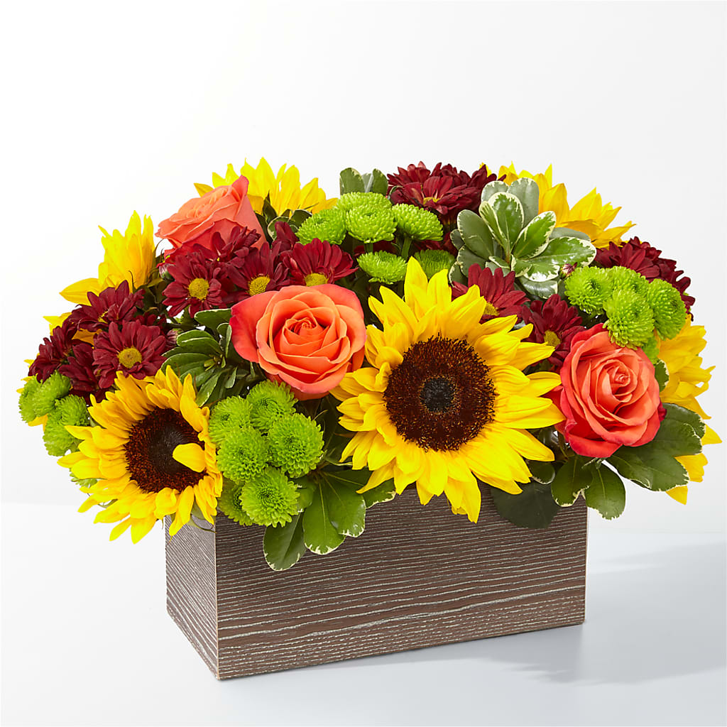 Happy Harvest Garden – Gibney-sims Flowers, Hannibal MO