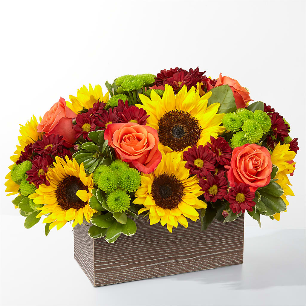 Happy Harvest Garden – Gibney-sims Flowers, Hannibal MO