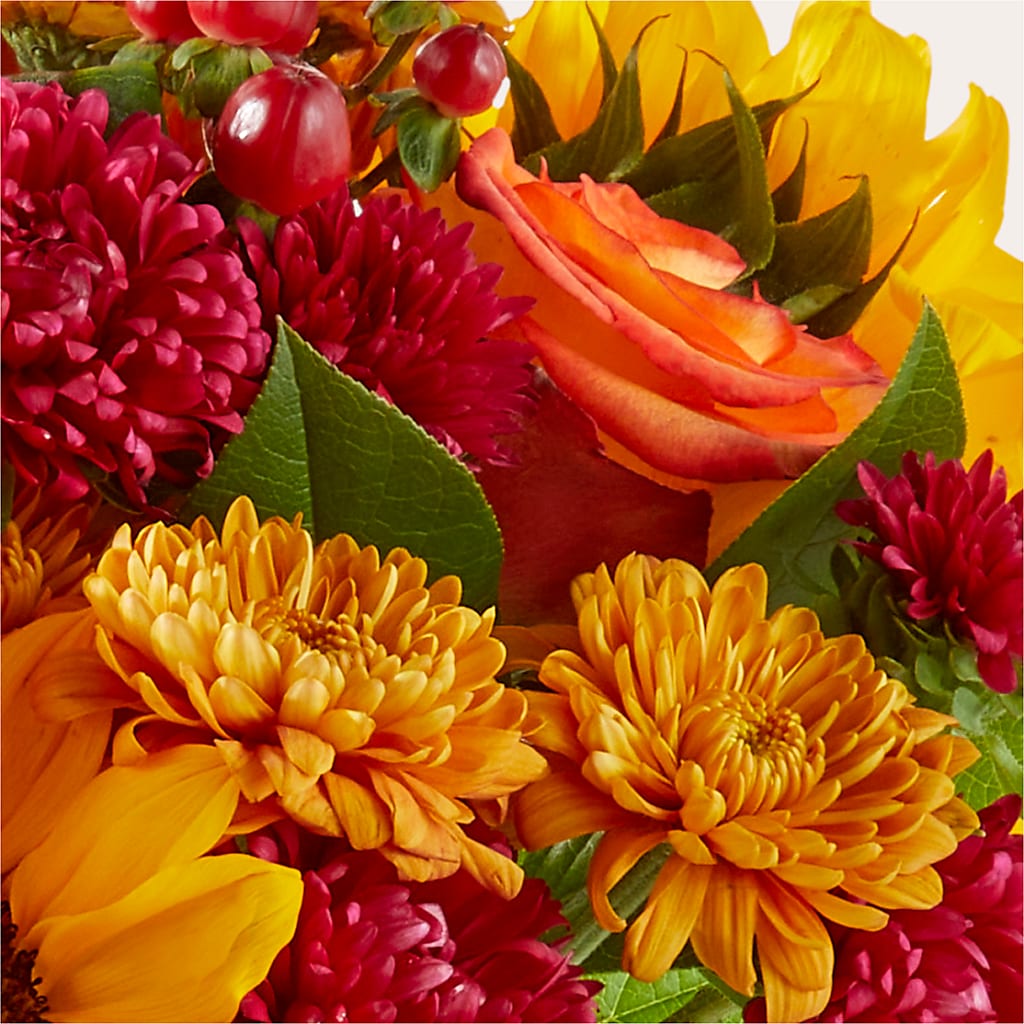 Sweater Season - A Florist Original – Gibney-sims Flowers, Hannibal MO