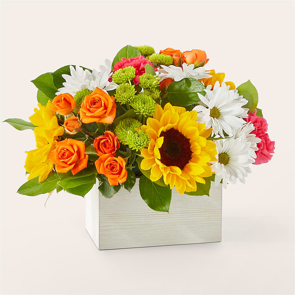 Sun-drenched Blooms Box Bouquet – Gibney-sims Flowers, Hannibal MO