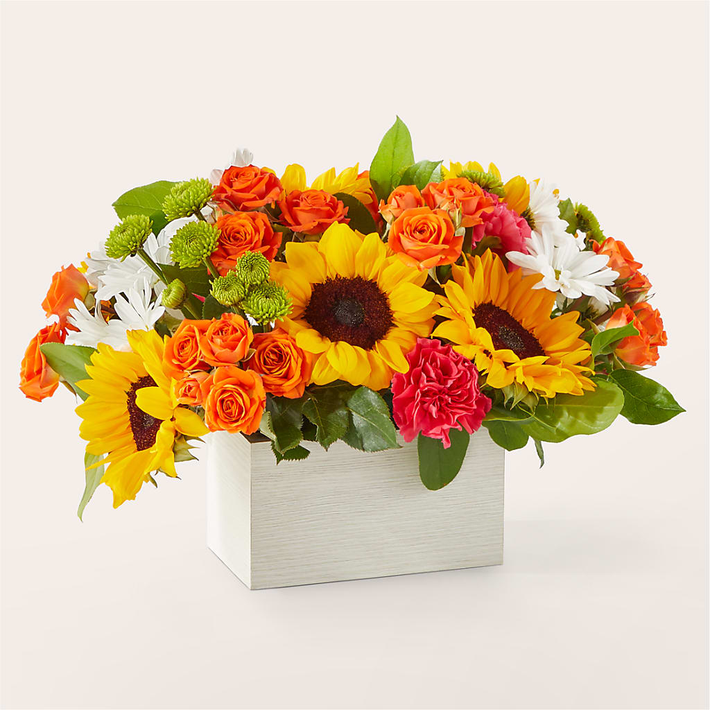 Sun-drenched Blooms Box Bouquet – Gibney-sims Flowers, Hannibal MO