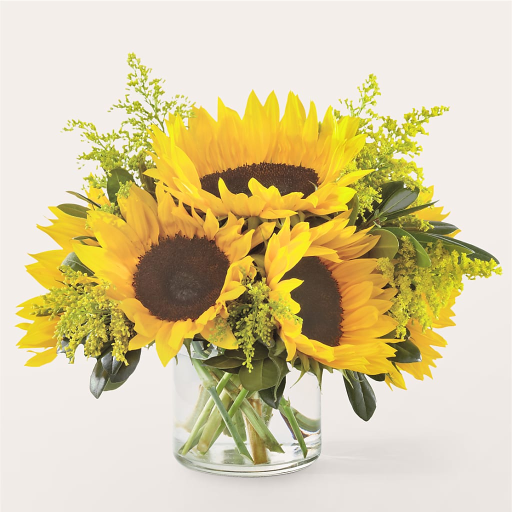 Beaming Sunflower Bouquet – Gibney-sims Flowers, Hannibal MO