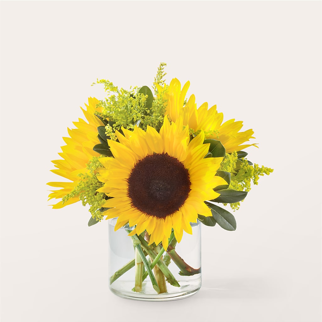 Beaming Sunflower Bouquet – Gibney-sims Flowers, Hannibal MO