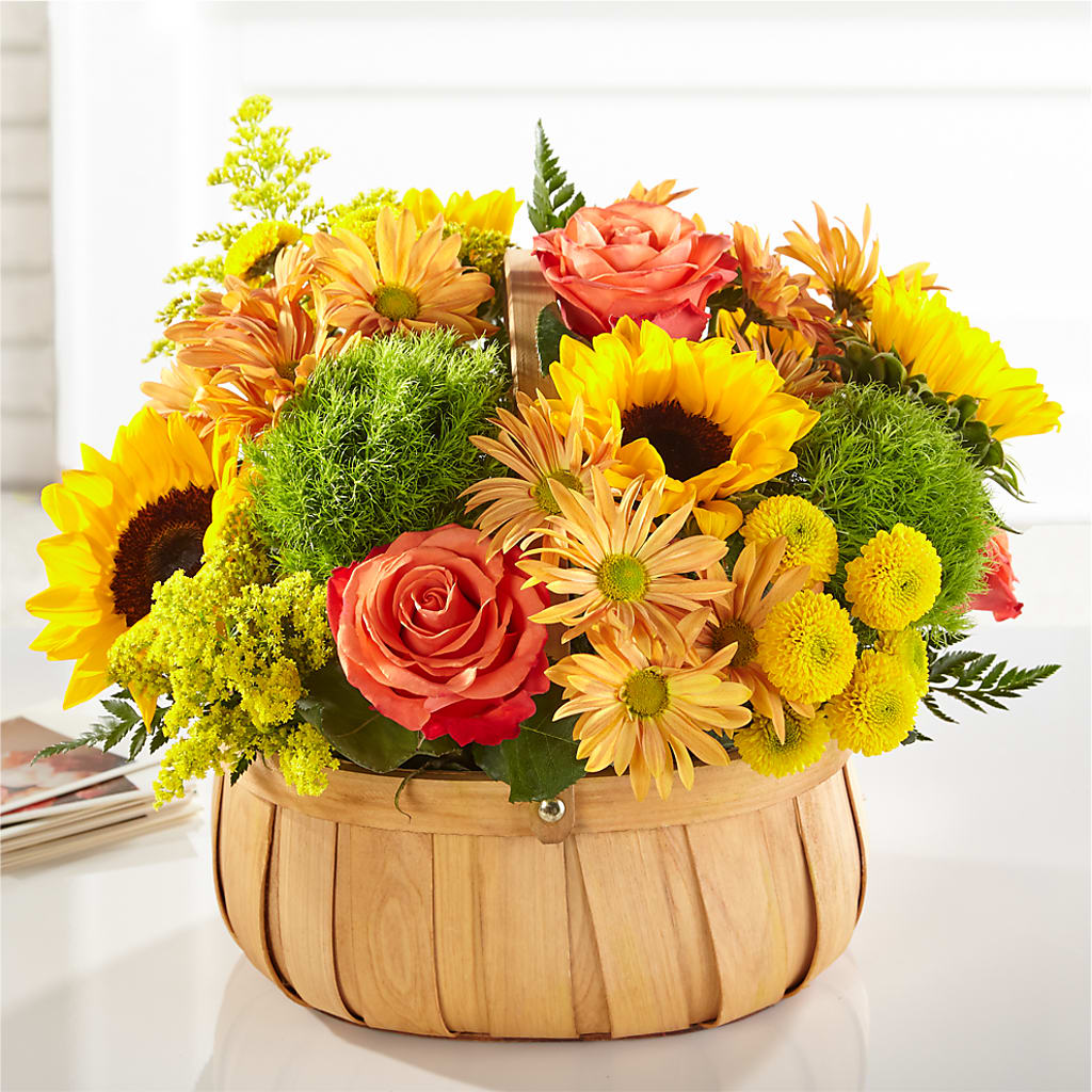 Harvest Sunflower Basket – Gibney-sims Flowers, Hannibal MO