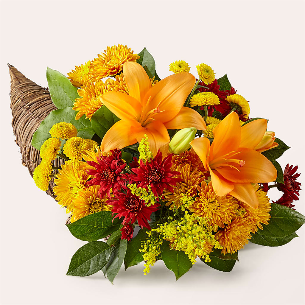 Feast of Color Cornucopia – Gibney-sims Flowers, Hannibal MO