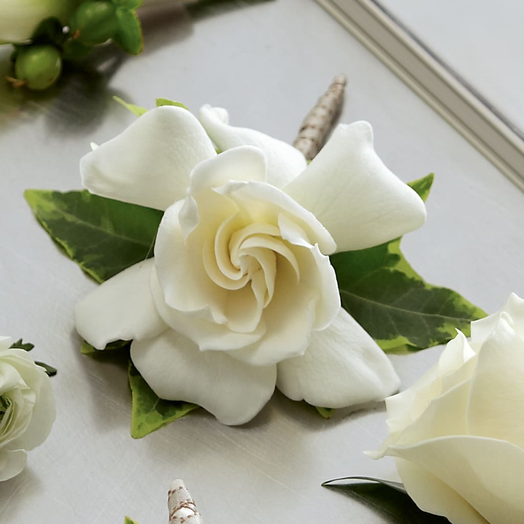 Gardenia Boutonniere – Gibney-sims Flowers, Hannibal MO