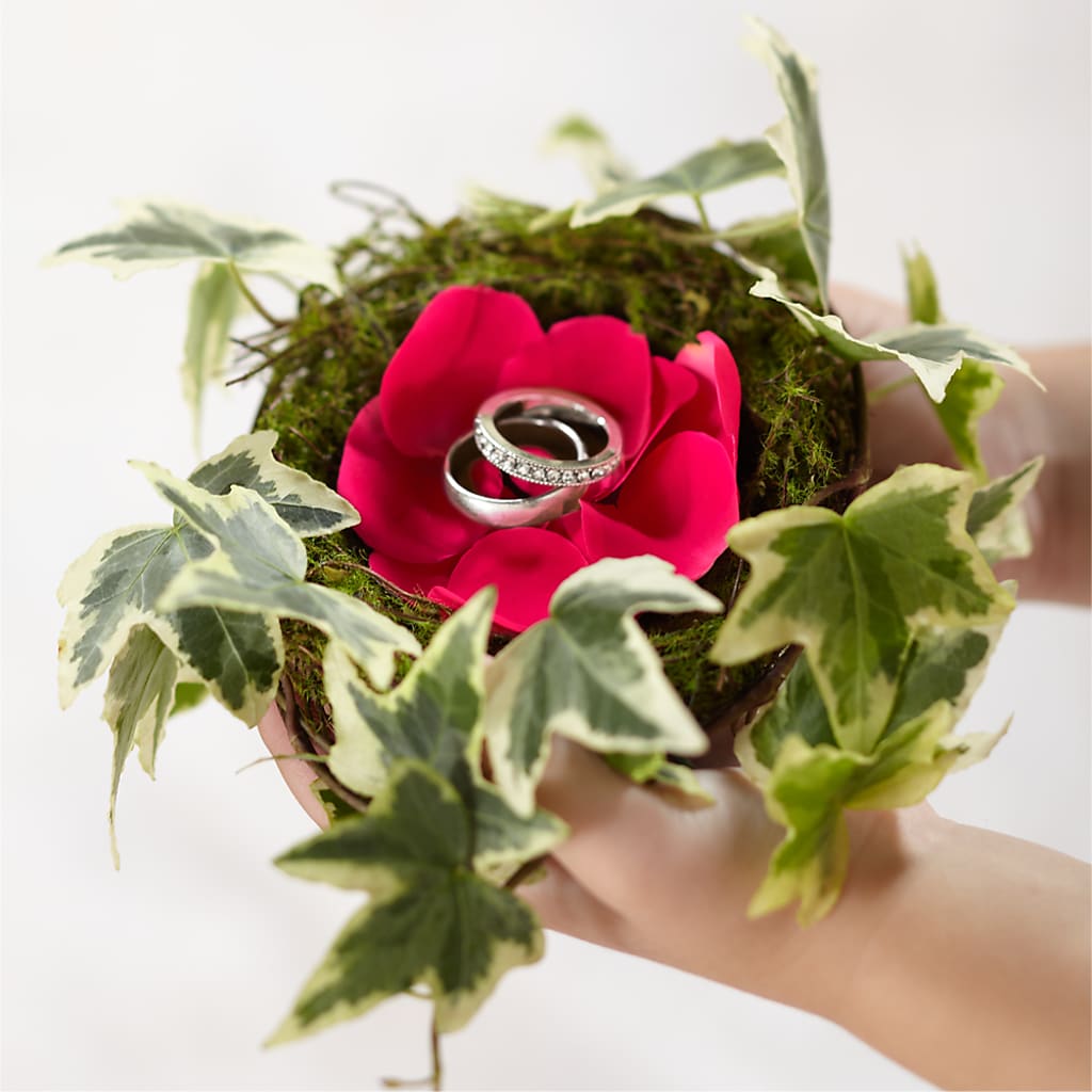 Lila Rose Ring Nest – Gibney-sims Flowers, Hannibal MO