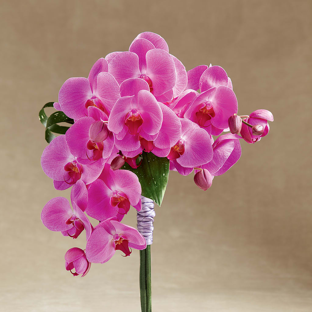 Glorious Bouquet – Gibney-sims Flowers, Hannibal MO