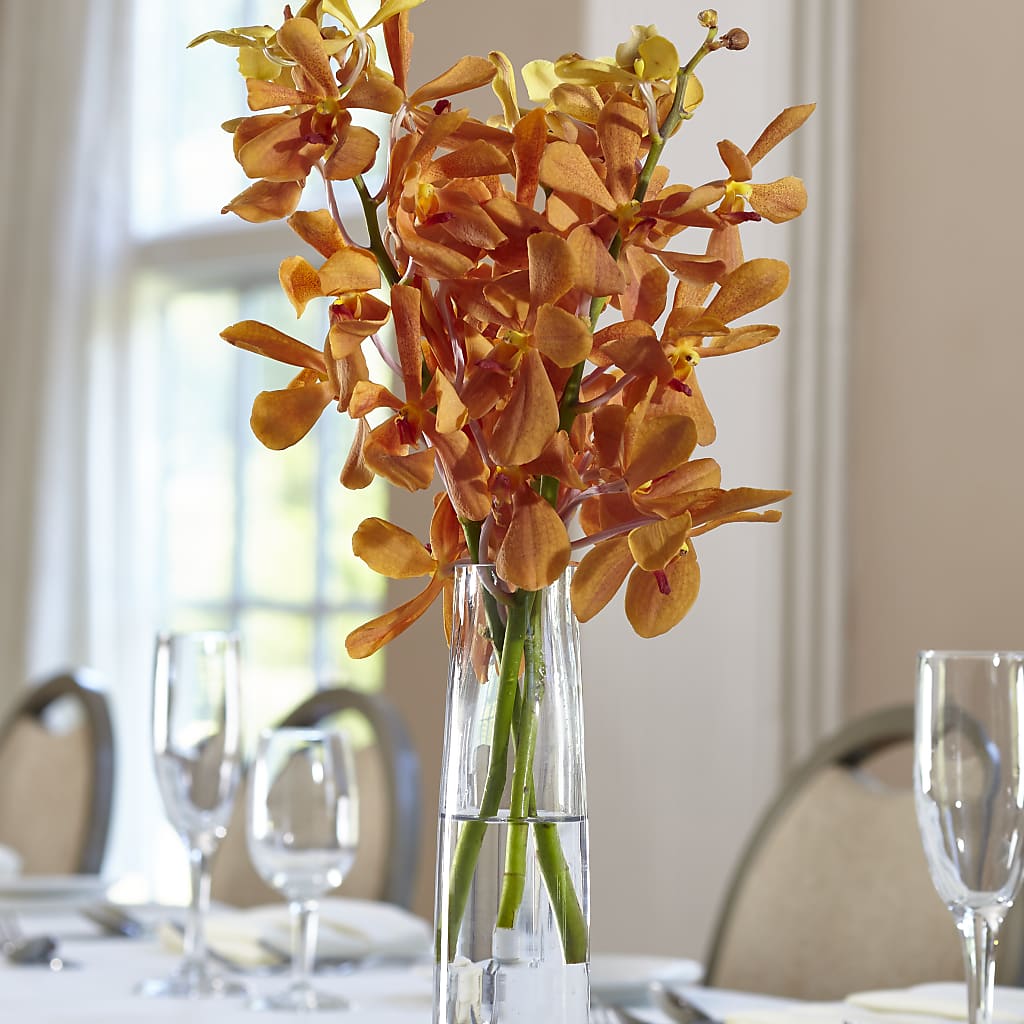 Orange Mokara Bud Vase – Gibney-sims Flowers, Hannibal MO