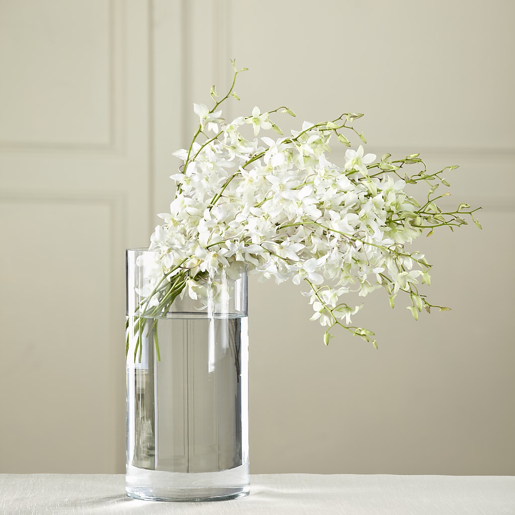 White Dendrobium Bouquet – Gibney-sims Flowers, Hannibal MO