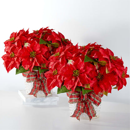 Happiest Holidays Poinsettia Bundle –  Gibney-sims Flowers, Hannibal MO
