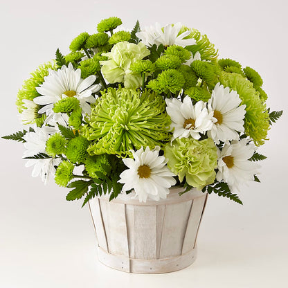 Lucky Charm Basket (Standard) –  Gibney-sims Flowers, Hannibal MO