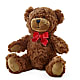 Adorable Plush Bear –  Gibney-sims Flowers, Hannibal MO