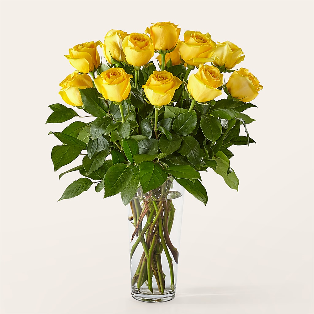Long Stem Yellow Rose Bouquet –  Gibney-sims Flowers, Hannibal MO