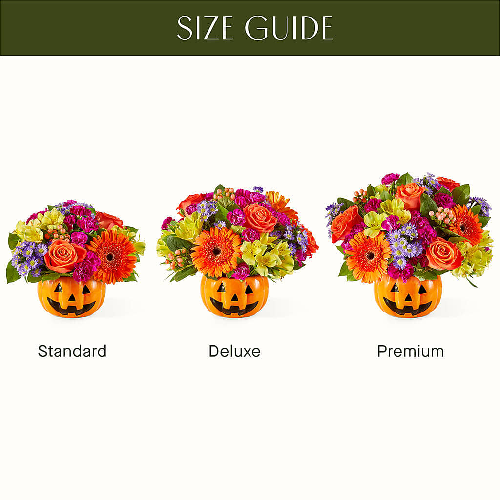 Tricks & Treats Pumpkin –  Gibney-sims Flowers, Hannibal MO
