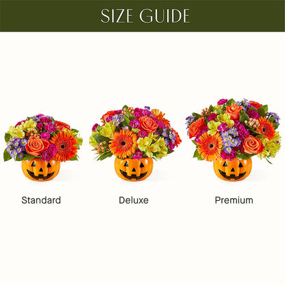 Tricks & Treats Pumpkin –  Gibney-sims Flowers, Hannibal MO