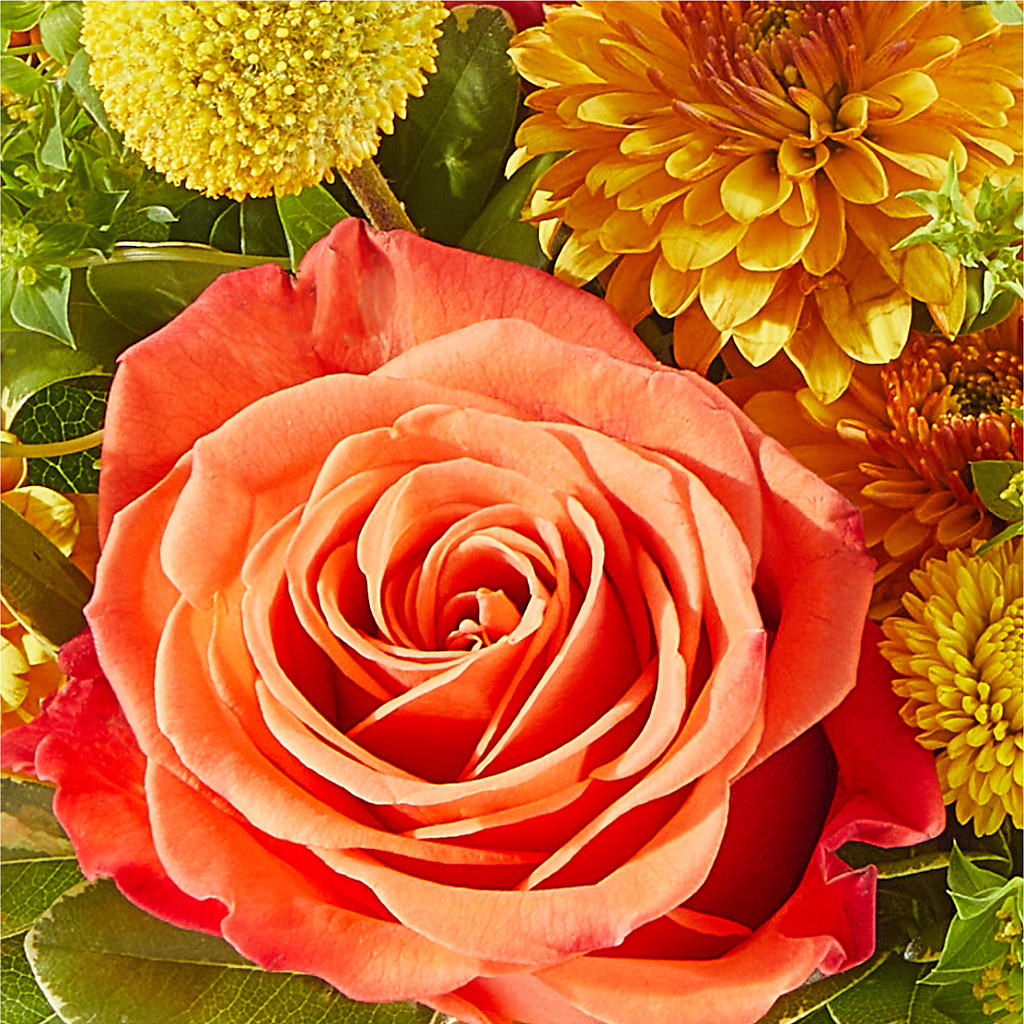 Gourdgeous Pumpkin –  Gibney-sims Flowers, Hannibal MO