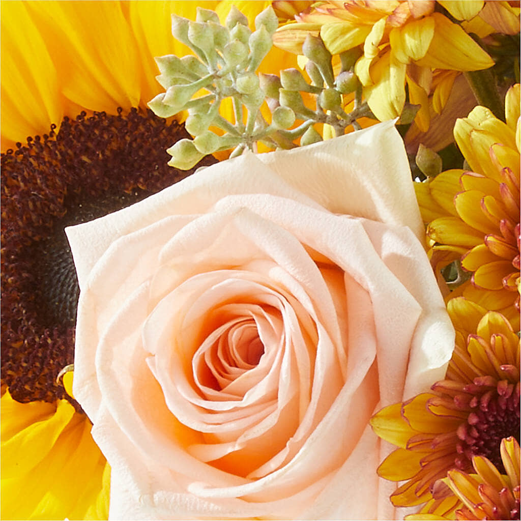 Pumpkin to Talk About Bouquet –  Gibney-sims Flowers, Hannibal MO