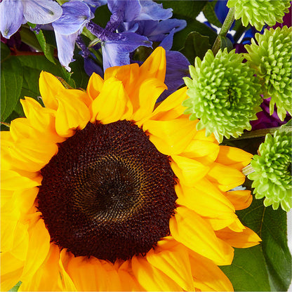 Catching Rays Bouquet –  Gibney-sims Flowers, Hannibal MO