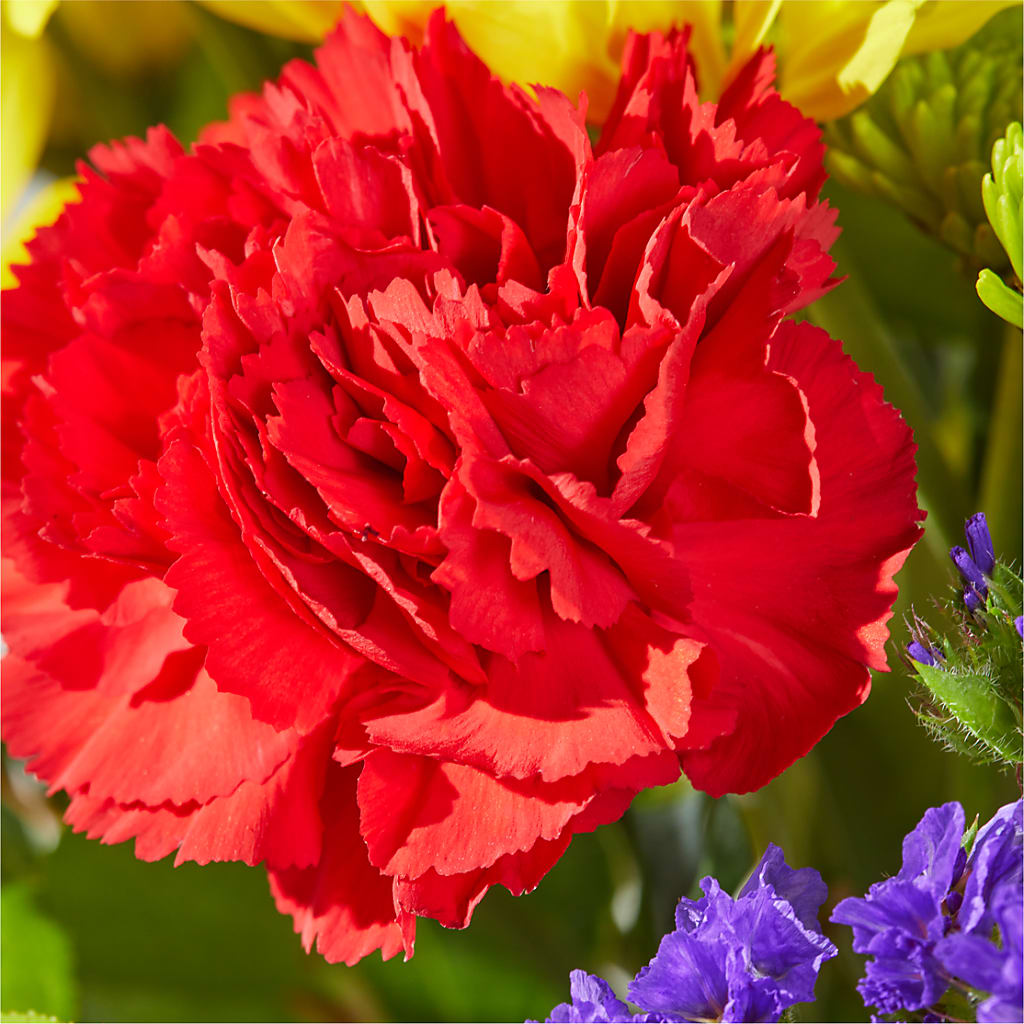Brighter Days Bouquet –  Gibney-sims Flowers, Hannibal MO