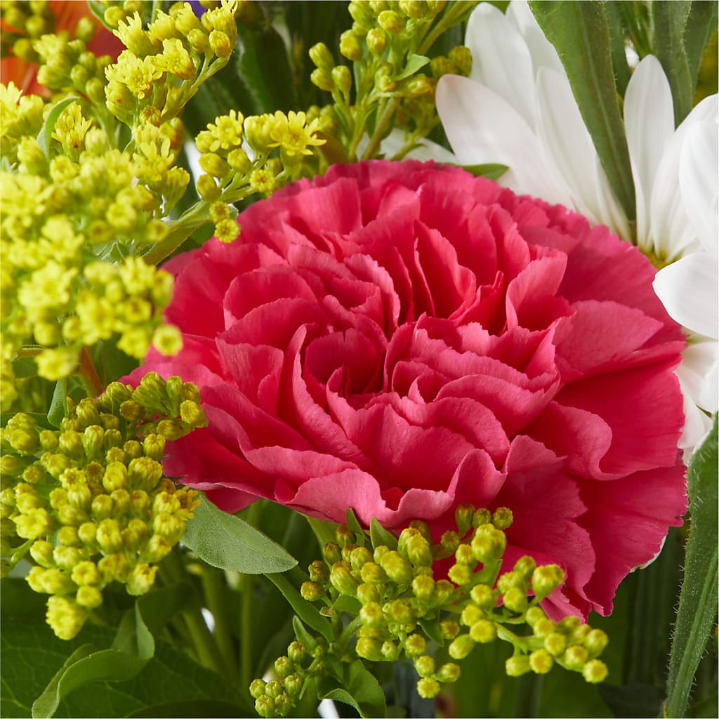 Oopsie Daisy Bouquet –  Gibney-sims Flowers, Hannibal MO