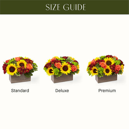 Happy Harvest Garden –  Gibney-sims Flowers, Hannibal MO