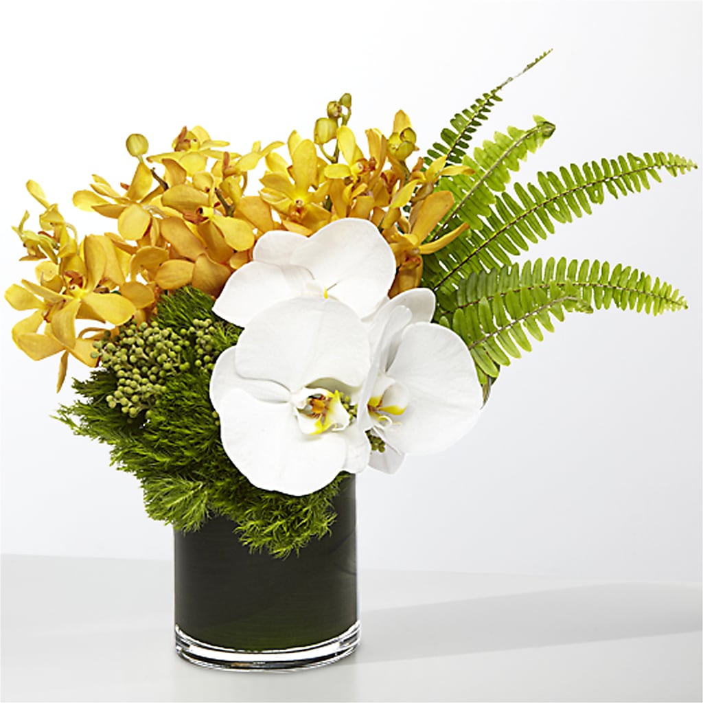 The Tropics –  Gibney-sims Flowers, Hannibal MO