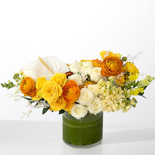 The Optimist –  Gibney-sims Flowers, Hannibal MO