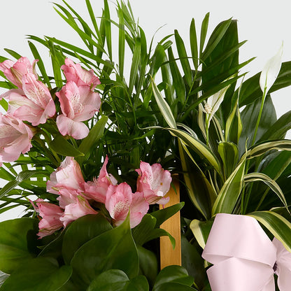 Living Spirit Dishgarden –  Gibney-sims Flowers, Hannibal MO