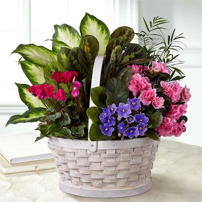 Peaceful Garden Planter –  Gibney-sims Flowers, Hannibal MO