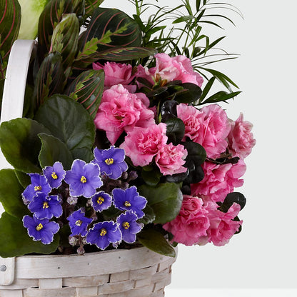 Peaceful Garden Planter –  Gibney-sims Flowers, Hannibal MO