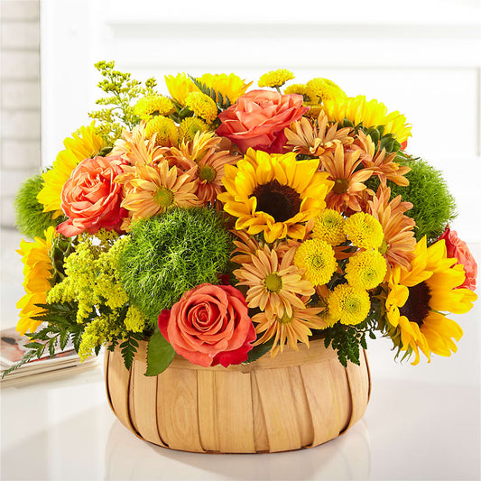 Harvest Sunflower Basket –  Gibney-sims Flowers, Hannibal MO