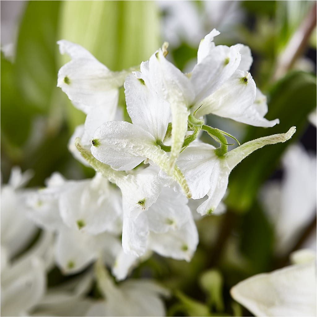 Classic Ivory – A Florist Original –  Gibney-sims Flowers, Hannibal MO