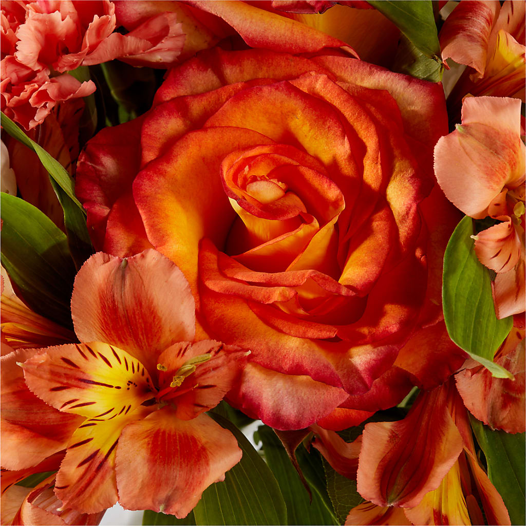 Apricot Glow Bouquet –  Gibney-sims Flowers, Hannibal MO