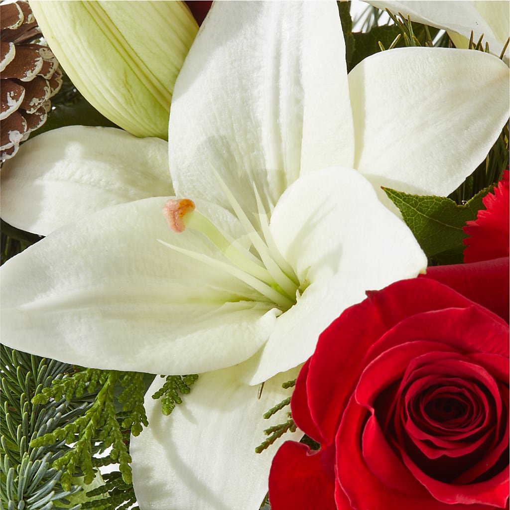 Oh So Jolly Bouquet –  Gibney-sims Flowers, Hannibal MO