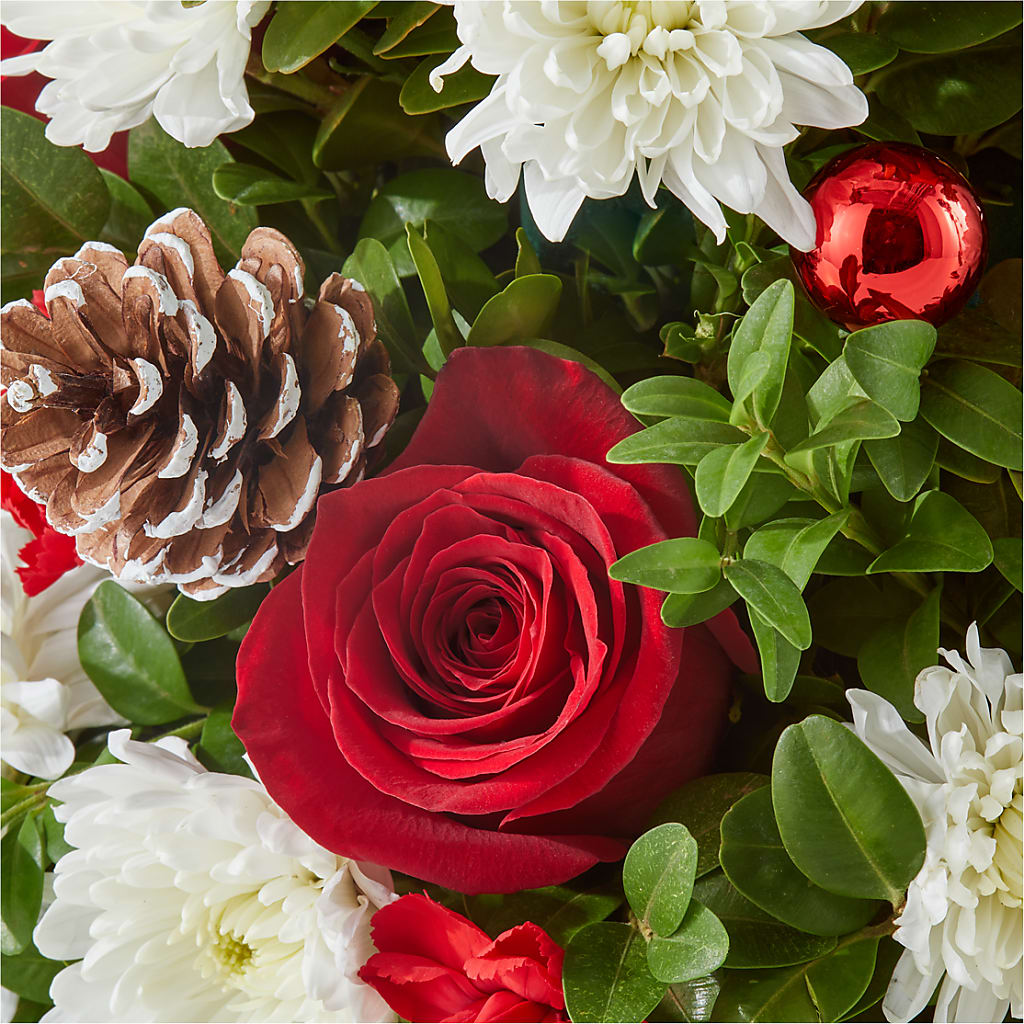 Let It Snow Tree –  Gibney-sims Flowers, Hannibal MO