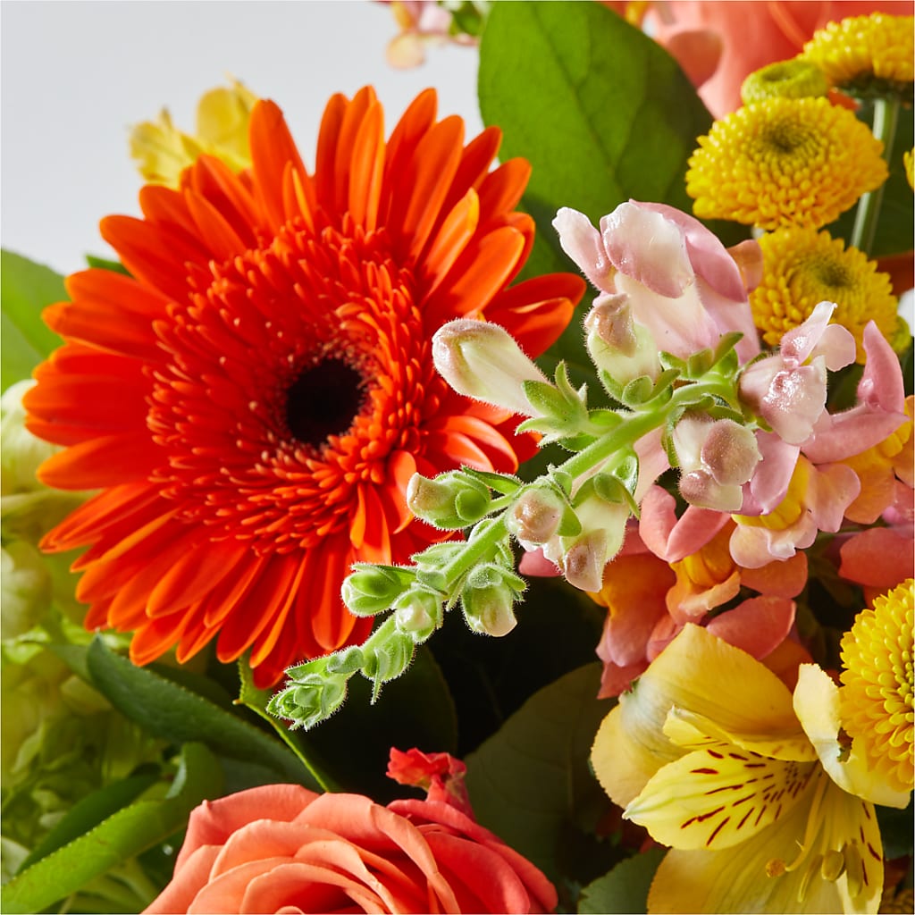 Autumn Sunshine Bouquet –  Gibney-sims Flowers, Hannibal MO