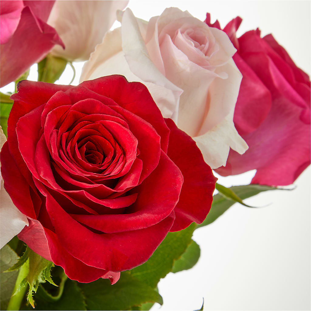 Charming Rose Bouquet –  Gibney-sims Flowers, Hannibal MO