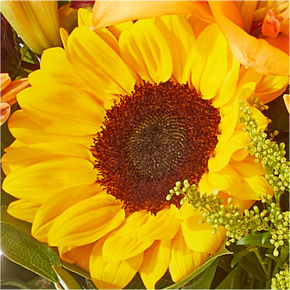 Seasons Change Bouquet –  Gibney-sims Flowers, Hannibal MO