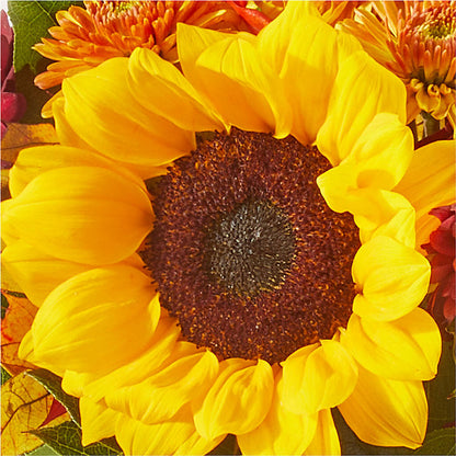 Sunny Side Bouquet –  Gibney-sims Flowers, Hannibal MO