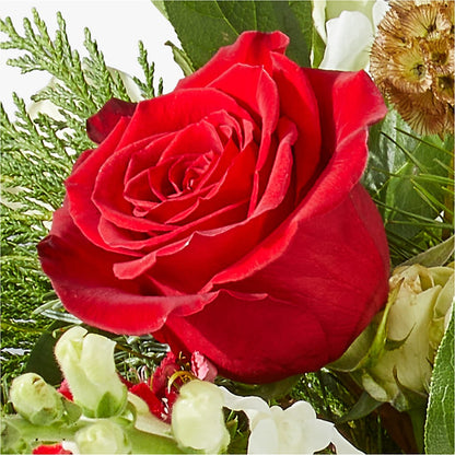 Deck the Halls Bouquet –  Gibney-sims Flowers, Hannibal MO