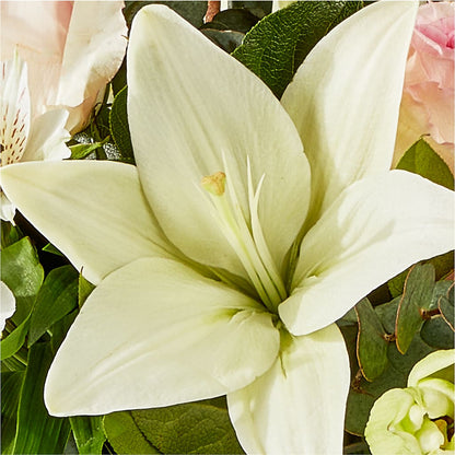 Ballet Slippers Bouquet –  Gibney-sims Flowers, Hannibal MO