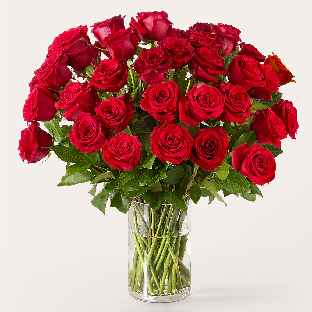 The One Red Rose Bouquet –  Gibney-sims Flowers, Hannibal MO