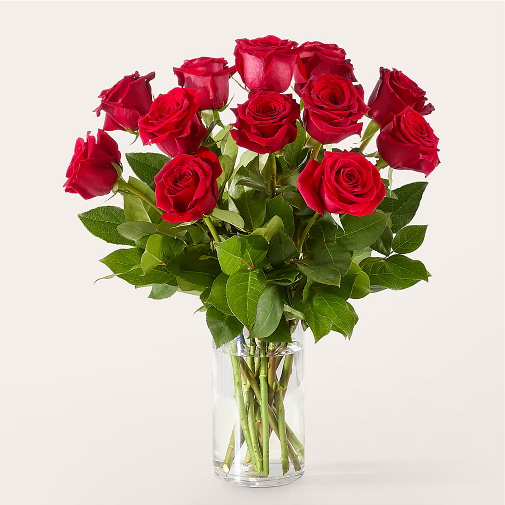 The One Red Rose Bouquet –  Gibney-sims Flowers, Hannibal MO